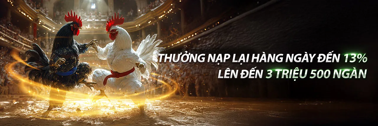 Hình ảnh tổng quan về cá cược thể thao iwin code